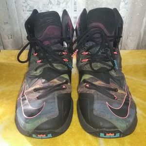 Mens LeBron James 13 akronite